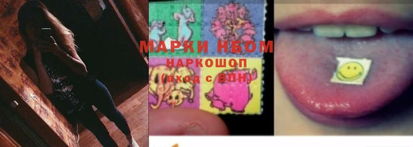 прущие грибы Семикаракорск