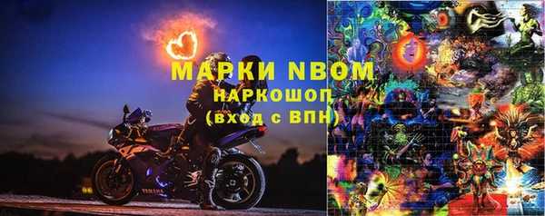 прущие грибы Семикаракорск