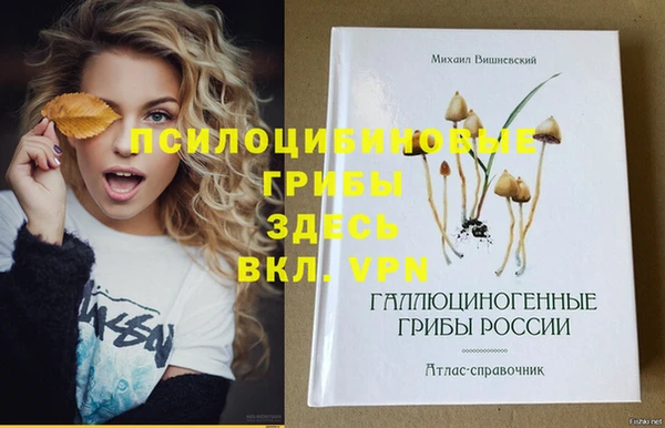 прущие крисы Слюдянка