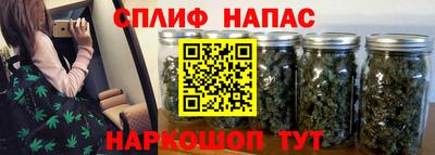 гашик Волжский