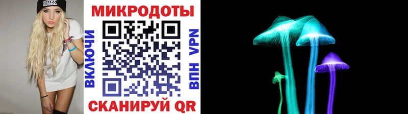 Псилоцибиновые грибы мицелий Ростов-на-Дону