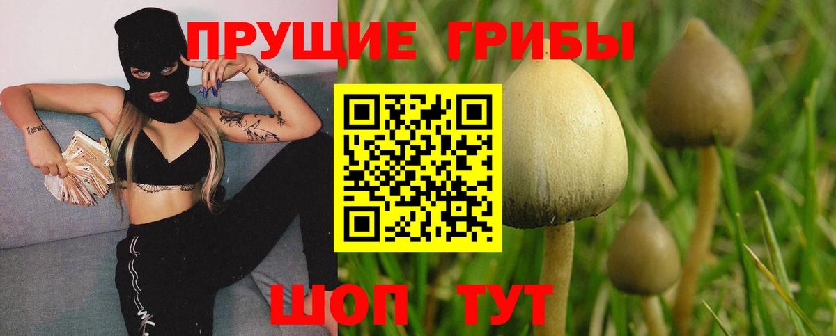 Псилоцибиновые грибы Psilocybe  Вход с VPN  Россия 